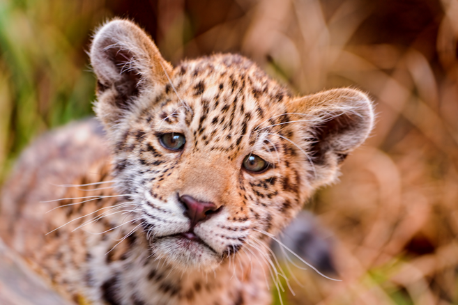 404 Error: Page not found